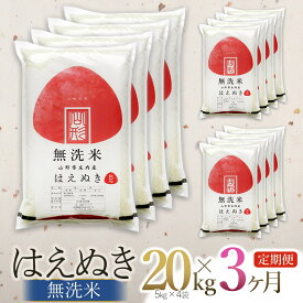 【ふるさと納税】令和7年産【3ヶ月定期便】【新米】はえぬき 無洗米 20kg（5kg×4袋）×3回　計60kg 毎月中旬発送 山形県庄内産