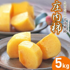 yӂ邳Ɣ[Łzyߘa7NYs\zrq̏` 5kg j`iЂ炽˂Ȃj| ` ` R` ߉s R` ߉ yVӂ邳 [ ԗi xi x Yi t[