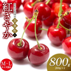 【ふるさと納税】【令和8年産先行予約】さくらんぼ 紅さやか バラ詰め M〜Lサイズ混合 800g(200g×4) 山形県鶴岡市産