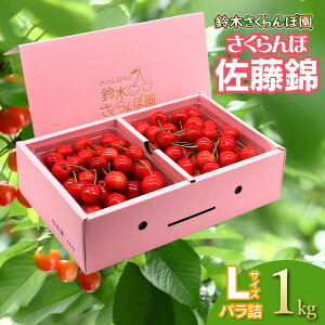 yӂ邳Ɣ[Łzyߘa8NYs\z  olLTCY Iׂeʁm500g`1kgn ؂ډ | R` ߉s yV ԗi t[c ʕ   TN