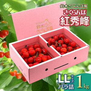 yӂ邳Ɣ[Łzyߘa7NYs\z gG olLLTCY Iׂeʁm500g`1kgn ؂ډ | R` ߉s yV ԗi t[c ʕ   O