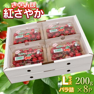 yӂ邳Ɣ[Łzyߘa8NYs\z g₩ olLTCY t[hpbN@Iׂeʁm800g`1.6kgn ؂ډ | R`Y ߉s t[c ʕ  