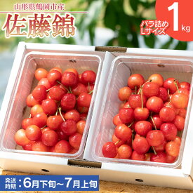 【ふるさと納税】【令和8年産先行予約】さくらんぼ 佐藤錦 バラ詰め 1kg　サイズ選べます［Lサイズ〜LLサイズ］ 【6月下旬頃発送予定】もぎたて「初夏の味覚」丸忠農園 | 山形県 鶴岡市 返礼品 東北 フルーツ 果物 くだもの お取り寄せ ご当地 サクランボ 特産品