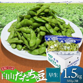 【ふるさと納税】【令和7年産先行予約】本場 白山産 白山だだちゃ豆 【早生(わせ)】 1.5kg（500g×3袋） 農家 長四郎 | 2025年 えだまめ エダマメ おつまみ 山形県 鶴岡市 楽天ふるさと 支援 東北 枝豆 お取り寄せ 茶豆 酒のつまみ 野菜
