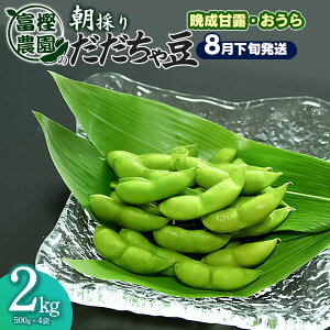 yӂ邳Ɣ[Łzyߘa8NYs\zx~_̒̂肾ᓤy8{zIׂeʁm500g`2kgnӐØIE R`߉sY } K-812/K-820/K-842 | k ܂ G_} 