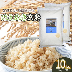 �y�ӂ邳�Ɣ[�Łz�y�ߘa8�N�Y��s�\��z�x�~�_���̂͂��ʂ��y���āz�@�I�ׂ�e�ʁy5kg�E10kg�i5kg×2�܁j�z�@K-827�EK-853