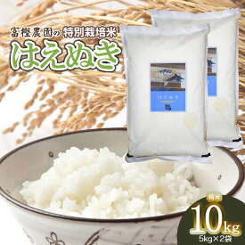 【ふるさと納税】【令和6年産米 先行予約】富樫農園の特別栽培米 はえぬき 精米10kg（5kg×2袋）　A36-002