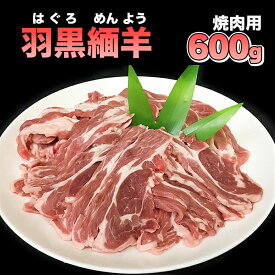 【ふるさと納税】【令和7年産先行予約・6月以降発送】羽黒緬羊の焼肉セット（600g） K-749 | 山形県 鶴岡市 返礼品 楽天ふるさと納税 お肉 羊肉 ひつじ 焼肉 焼き肉 やきにく 焼肉用 バーベキューセット bbq お取り寄せグルメ 焼き肉セット 国産 美味しい
