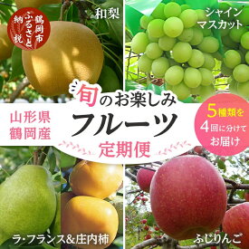 【ふるさと納税】【令和6年産 先行予約】【定期便】鶴岡産旬のお楽しみフルーツセット(果物) E16-601 シャインマスカット 和梨 ラフランス 庄内柿 りんご(計4回、5種) | 山形県 鶴岡市 山形 くだもの 幸水 豊水 柿 フルーツ定期便 自宅用 家庭用