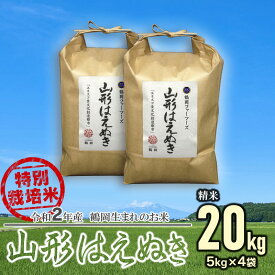楽天市場 ふるさと納税 米 kg はえぬきの通販 楽天市場 ふるさと納税 米 kg はえぬきの通販