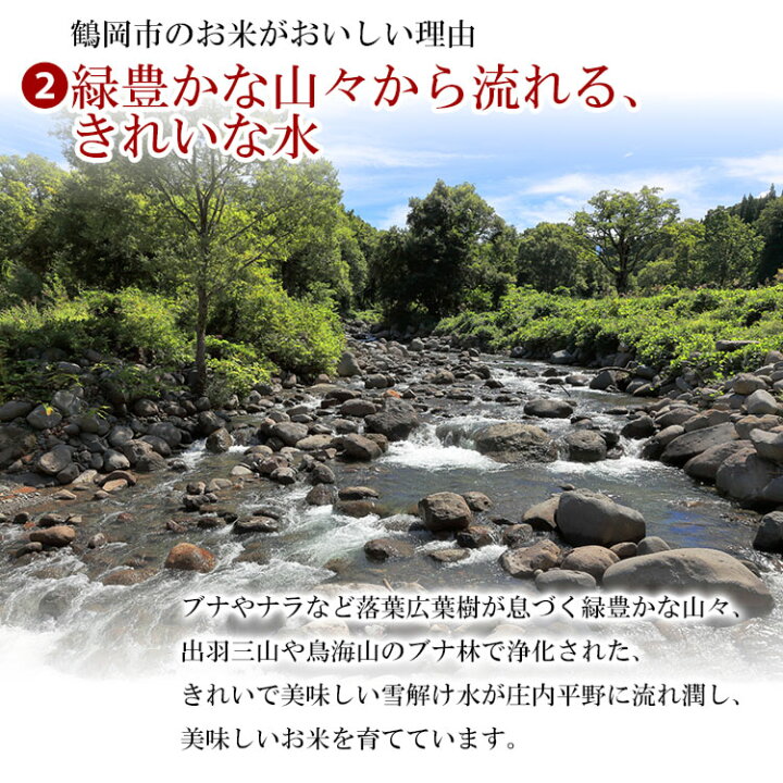 楽天市場】【ふるさと納税】【令和4年産米】特別栽培米 雪若丸 無洗米 10kg(5kg×2袋) | 山形県庄内産 山形県 鶴岡市 楽天ふるさと 納税 山形 支援 返礼品 お米 米 おこめ お取り寄せ ご当地 ブランド米 特産品 名産品 こめ コメ 美味しい 特別栽培 取り寄せ おいしい ... 楽天市場】【ふるさと納税】【令和4年産米】特別栽培米 雪若丸 無洗米 10kg(5kg×2袋) | 山形県庄内産 山形県 鶴岡市 楽天ふるさと 納税 山形 支援 返礼品 お米 米 おこめ お取り寄せ ご当地 ブランド米 特産品 名産品 こめ コメ 美味しい 特別栽培 取り寄せ おいしい ...