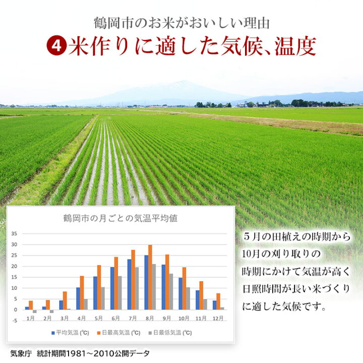 楽天市場 ふるさと納税 令和4年産米 特別栽培米 雪若丸 無洗米 10kg 5kg 2袋 山形県庄内産 山形県 鶴岡市 楽天ふるさと 納税 山形 支援 返礼品 お米 米 おこめ お取り寄せ ご当地 ブランド米 特産品 名産品 こめ コメ 美味しい 特別栽培 取り寄せ おいしい