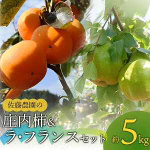 yӂ邳Ɣ[Łzyߘa7NYs\z` M`LEtX2L`3LZbg@v5kgie2.5kg j