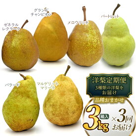 【ふるさと納税】【令和7年産 先行予約】山形県鶴岡市産 洋梨定期便【3回お届け】3kg×3種類 品種おまかせ