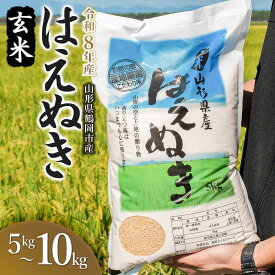 【ふるさと納税】令和8年産 新米 馬町さくらファームのはえぬき 玄米 5kg / 10kg(5kg×2袋) 山形県鶴岡市産 K-826 / K-850 | 2026年産 お米 10キロ ご飯 ごはん ブランド米 米どころ 庄内米 国産 美味しい お取り寄せ 農家直送 お弁当 おにぎり おすすめ 人気 返礼品
