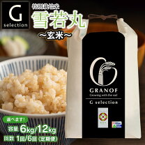 楽天市場】玄米（総重量（穀物）70.0 ～ 79.9kg）（米・雑穀｜食品）の通販