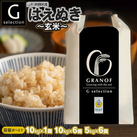 【ふるさと納税】令和7年産【新米】Gセレクション はえぬき【玄米】 山形県鶴岡産 容量（10kg×1回・10kg×6回・5kg×6回）選べます！　6ヶ月定期便（毎月1回中旬発送）　株式会社グラノフ