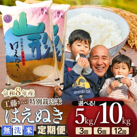 【ふるさと納税】令和8年産 新米 工藤さんの特別栽培米 はえぬき 無洗米　定期便 選べる容量/回数【5kg 又は 10kg / 3・6・12回】 毎月1回中旬発送 山形県 庄内産 2026年産 | 米どころ 庄内米 ブランド米 ご飯 ごはん お取り寄せ 農家直送 東北 国産 おすすめ