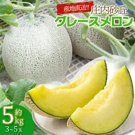 【ふるさと納税】【令和6年産 先行予約】産地直送！ 庄内砂丘グレースメロン 約5kg（3〜5玉）秀品 4L～2L玉 | 山形県 鶴岡市 返礼品 支援 フルーツ 果物 くだもの お取り寄せグルメ 青肉 めろん 特産品 名産品