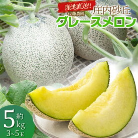 【ふるさと納税】【令和9年産先行予約】産地直送！ 庄内砂丘グレースメロン 約5kg（3〜5玉）秀品 4L〜2L玉 K-935 | 山形県 鶴岡市 フルーツ 果物 くだもの お取り寄せグルメ 青肉 めろん 特産品 名産品 2027年