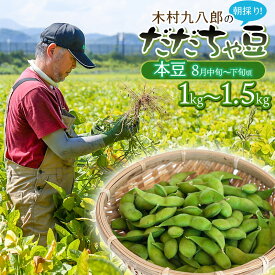 【ふるさと納税】【令和8年産先行予約】木村九八郎の朝採り！新鮮！だだちゃ豆 【本豆（8月中旬～下旬頃発送）】 容量お選びください［1kg(250g×4袋)］［1kg(500g×2袋)］［1.5kg(500g×3袋)］ 枝豆 2026年　K-829