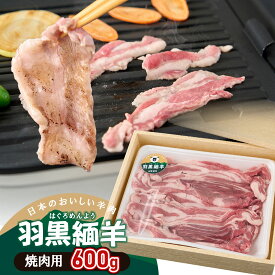 【ふるさと納税】【令和8年産先行予約・6月以降発送】羽黒緬羊の焼肉セット（600g） K-849 | 山形県 鶴岡市 返礼品 楽天ふるさと納税 お肉 羊肉 ひつじ 焼肉 焼き肉 やきにく 焼肉用 バーベキューセット bbq お取り寄せグルメ 焼き肉セット 国産 美味しい