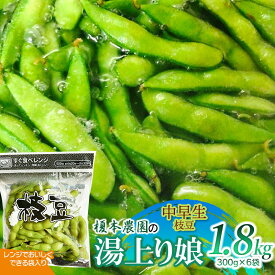 【ふるさと納税】【令和8年産先行予約】榎本農園の枝豆 湯上り娘 1.8kg （300g×6袋） K-834　電子レンジでおいしく出来る袋入り） 中早生 | 2026年産 山形県 鶴岡市 楽天ふるさと 納税 支援 えだまめ お取り寄せ おつまみ 野菜