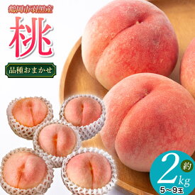【ふるさと納税】【令和8年産先行予約】JA庄内たがわの鶴岡市羽黒地域産 桃 約2kg（5〜9玉入）品種おまかせ もも　K-830