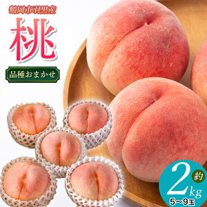 yӂ邳Ɣ[Łzyߘa8NYs\zJA̒߉sHnY  2kgi5`9ʓji킨܂ @K-830