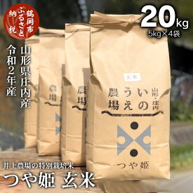 楽天市場 ふるさと納税 玄米 kgの通販