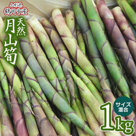 【ふるさと納税】【令和8年産先行予約】天然月山筍（がっさんだけ）1kg サイズ混合 わかば屋 孟宗竹 たけのこ | 山形県 鶴岡市 楽天ふるさと 納税 支援 東北 返礼品 山菜 タケノコ 筍 野菜 やさい お取り寄せ ご当地 特産品 食品 食べ物 取り寄せ 山の幸　2026年