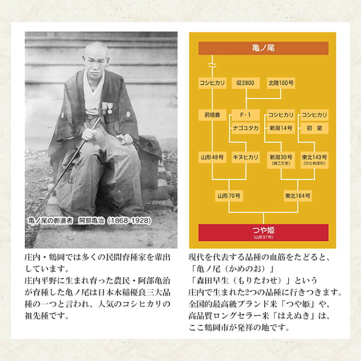 楽天市場 ふるさと納税 発送時期が選べる 山形県産 つや姫 パックごはん 無菌 パックライス 0g 36食セット サトウのごはん 米 白米 送料無料 パックご飯 山形 ご飯 パック ごはん ご飯パック お取り寄せ ご当地 名産品 特産品 庄内 食品 山形県鶴岡市 楽天市場 ふるさと納税 発送時期が選べる 山形県産 つや姫 パックごはん 無菌 パックライス 0g 36食セット サトウのごはん 米 白米 送料無料 パックご飯 山形 ご飯 パック ごはん ご飯パック お取り寄せ ご当地 名産品 特産品 庄内 食品 山形県鶴岡市