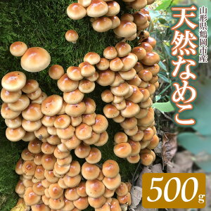 yӂ邳Ɣ[Łzyߘa7NYs\zR` ߉sY VR Ȃ߂ 500g iF101`1130j ̂ 킩Ή@2025N