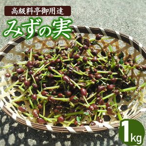 yӂ邳Ɣ[Łz yߘa8NYs\zR`߉sY ݂̎ 1kg R F91`1010 | R` ߉s R` ߉ yVӂ邳 [ x k ԗi  ₳ 