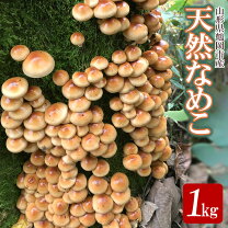 楽天市場】ふるさと納税なめこの通販