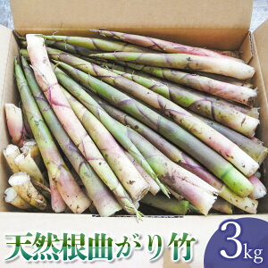 yӂ邳Ɣ[Łzyߘa8NYs\zVRȂ| y1.5kg`3kgz@킩Ή ⡁îj 2026N