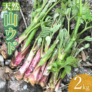 yӂ邳Ɣ[Łzyߘa8NYs\zVR REh y1kg`2kgz@킩Ή@2026N