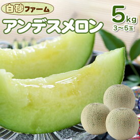 【ふるさと納税】【令和8年産先行予約】アンデスメロン 5kg（3〜5玉）　白砂ファーム