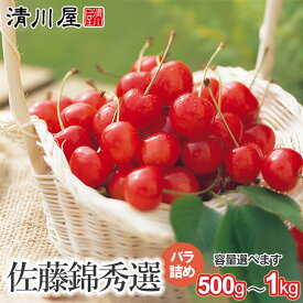 【ふるさと納税】【令和7年産先行予約】さくらんぼ 佐藤錦 秀選バラ詰め　容量お選びください【500g〜1kg】 Lサイズ | 山形県 鶴岡市 返礼品 フルーツ 果物 くだもの お取り寄せ グルメ サクランボ 桜桃 秀品 特産品