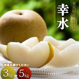 【ふるさと納税】【令和8年産先行予約】　東荒屋産　幸水　(和梨) 　容量お選びください［3kg・5kg］　山形県鶴岡市　鶴岡中央青果　| 梨 ナシ 果物 くだもの フルーツ 旬 期間限定 甘い みずみずしい おすすめ 人気 お取り寄せ 返礼品