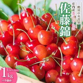 【ふるさと納税】令和8年産 鶴岡 庄内産 さくらんぼ 佐藤錦　バラ詰め 1kg　Lサイズ以上　山形県鶴岡市　鶴岡中央青果　| サクランボ チェリー 佐藤錦 山形 東北 果物 くだもの フルーツ 1キロ 産地直送 旬の果物 甘い 果実 人気 美味しい お取り寄せ 返礼品