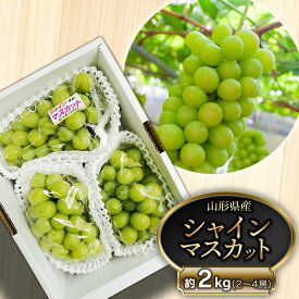 【ふるさと納税】【令和7年産先行予約】鶴岡市産シャインマスカット 約2kg（2〜4房） | 山形県 鶴岡市 返礼品 フルーツ 果物 くだもの ぶどう 種なし ブドウ 葡萄 お取り寄せ グルメ 自宅用 家庭用 果実 白品種