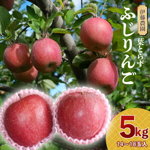 【ふるさと納税】【令和7年産先行予約】葉とらずリンゴ「ふじりんご」 5kg(14〜18玉)山形県鶴岡市産