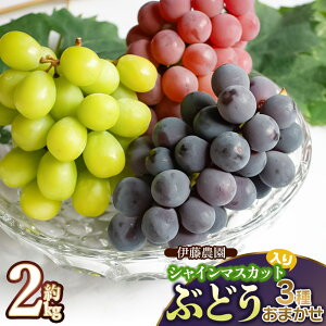 yӂ邳Ɣ[Łzyߘa7NYs\zVC}XJbg 3킨܂ 2kg@sI[lETj[h`FERgs[E}jLAtBK[E˃WCAcEEEi