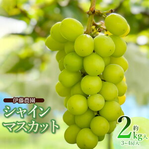 yӂ邳Ɣ[Łzyߘa7NYs\zVC}XJbg@eʂIтm1.2kgi2[jE2kgi3`4[jn