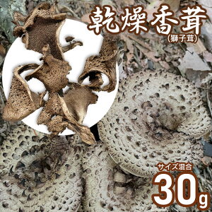 �y�ӂ邳�Ɣ[�Łz���������i���q���j 30g�@�T�C�Y�����@�V�������@�R�`���߉��s�Y�@�y���������F4��1���`7��15�����z ���̂� �킩�Ή�