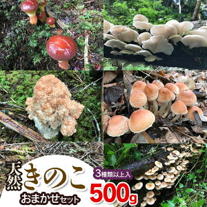 �y�ӂ邳�Ɣ[�Łz�y�ߘa8�N�Y��s�\��z�V�R���̂� ���܂����Z�b�g�i3��ވȏ�j500g�y���������F8��1���`11��30�����z ���̂� �킩�Ή��@2026�N