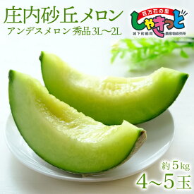 【ふるさと納税】【令和6年産 先行予約】庄内砂丘 アンデスメロン 秀品 3L〜2L 約5kg（4〜5玉）青肉系 2024年産　A26-607