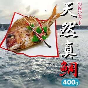 yӂ邳Ɣ[Łzn̓؂₩Ɂ@jZbg 400gi2lOj@n}ÔzEԔсERn_Ð|ЂE