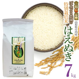 【ふるさと納税】【令和6年産 先行予約】ばんどう農園の特別栽培米 はえぬき7kg　K-630